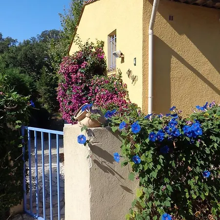 Petra Sainte-Maxime